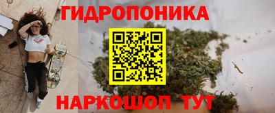 крисы Балашиха
