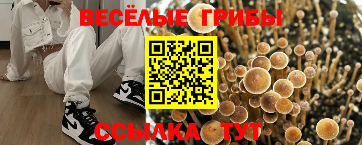Псилоцибиновые грибы мицелий Гулькевичи