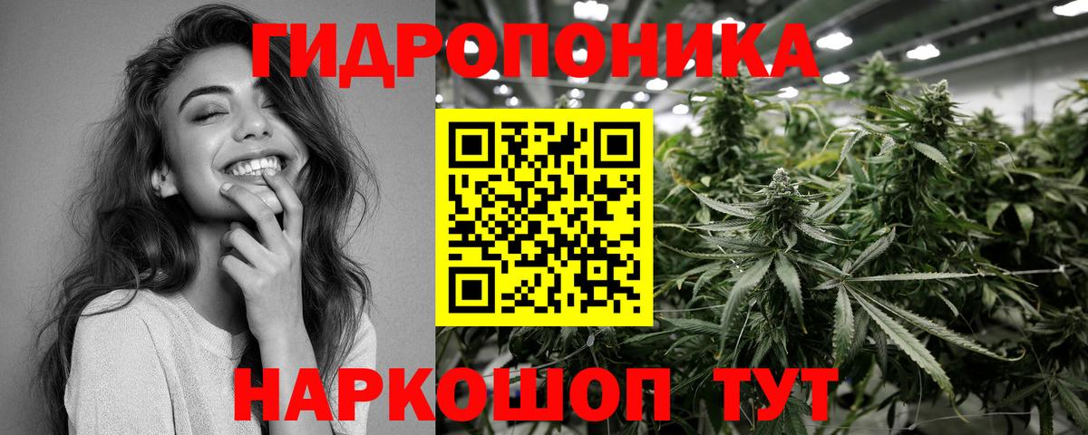 Бошки Шишки планчик Гулькевичи
